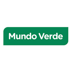 Ana Mendes